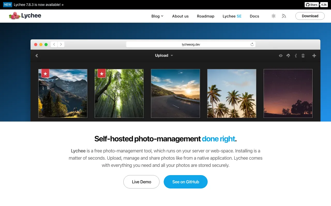 Captura de Lychee, tomada de su sitio web oficial